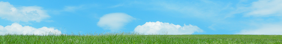 株式会社宮川会計事務所イメージ